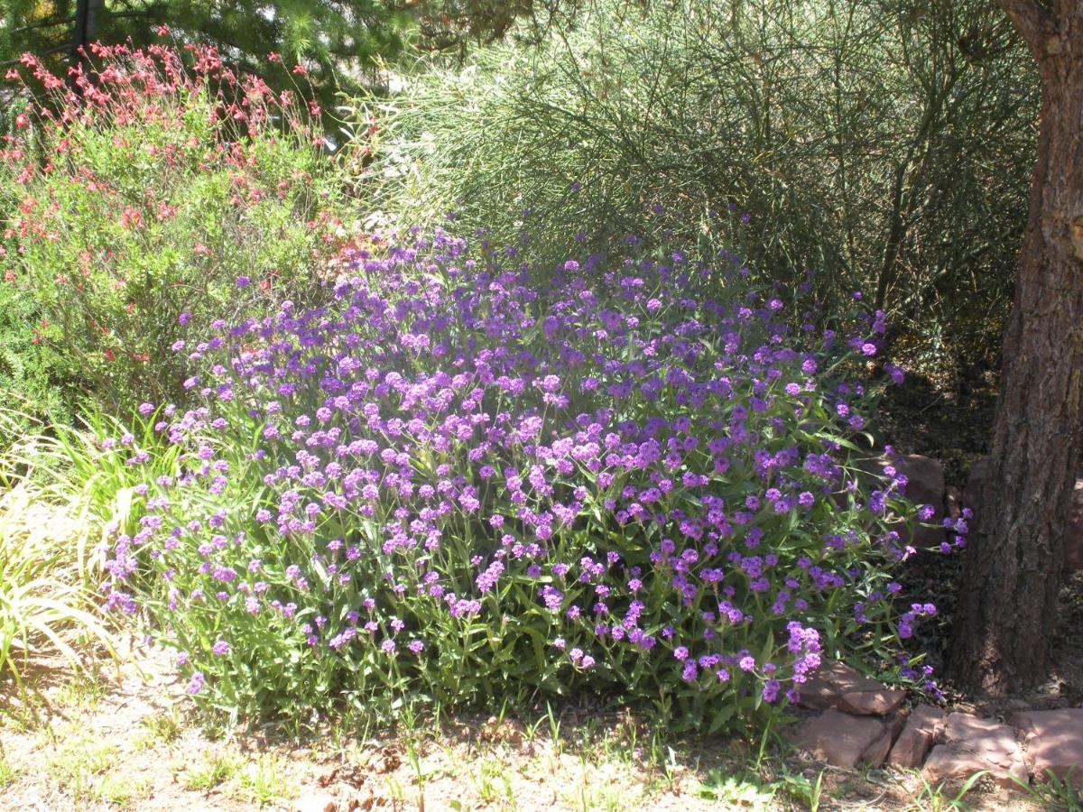 Alma De Sedona Inn B&B Экстерьер фото